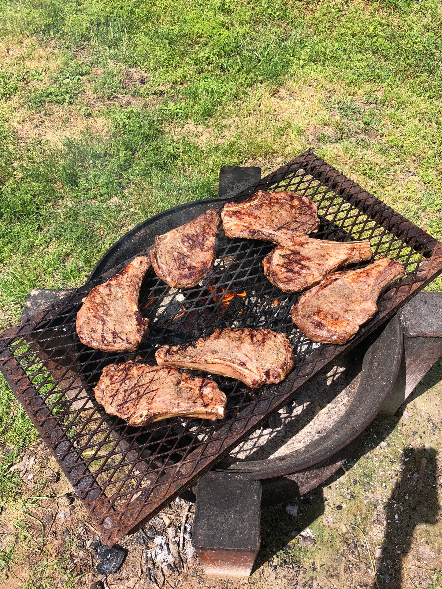 Ribeye Steak (Bone In) $23.47 per pound